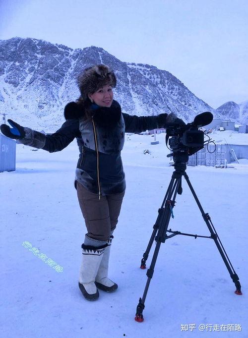 北极移民在线观看,在线探索极地新家园的奇幻旅程